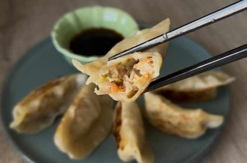 Gyozas Caseras